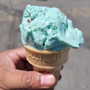 Mint chocolate chip ice cream