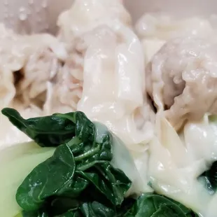 Hong Kong Style Wonton Egg Noodle Soup