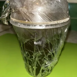 Raspados