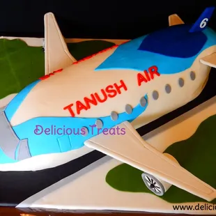 3D Aeroplane cake .. Chocolate cake with raspberry marmalade...