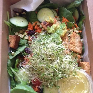 Bittersweet Salad