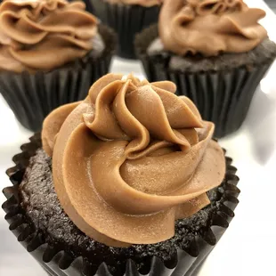 Chocolate cupcakes