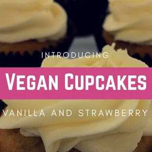 Vegan Cupcakes