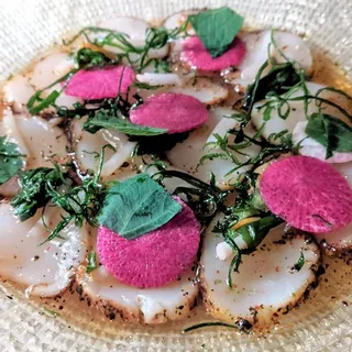 BLACK TIE SCALLOP TATAKI