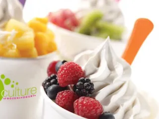 Local Culture Frozen Yogurt