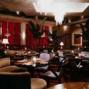 interior, sushi and sashimi
