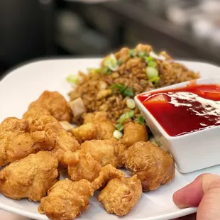 Sweet and Sour Chicken combination