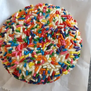 HUGE sprinkle cookie