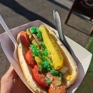 Chicago dog