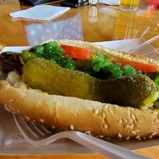 Chicago Dog