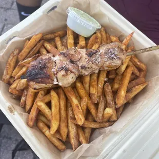 Chicken kebab and fries