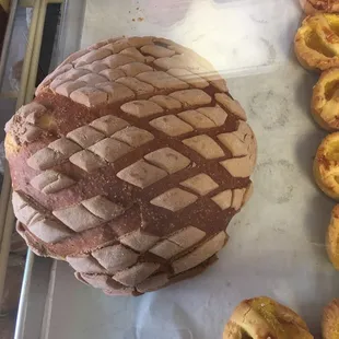 Concha is bigger size compared to a football! Way bigger.