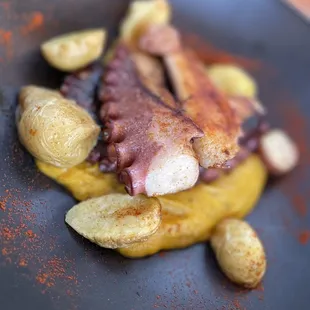OCTOPUS (Polpo)