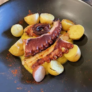 Polpo in salsa di zucca. High quality octopus combined with butternut squash purée. Such a beautiful idea.