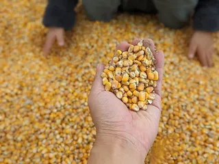 G&M Farms