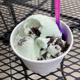 Mint Chip