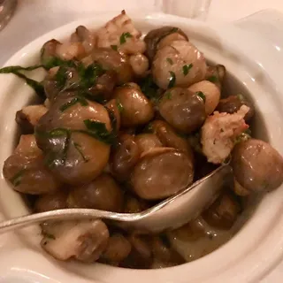 Button Mushrooms