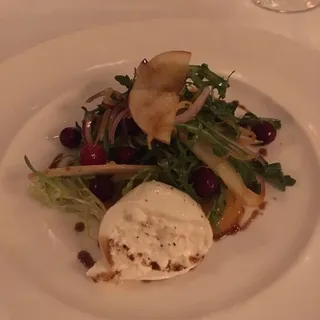 Living Greens Salad