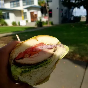 Jerk Chicken Sandwich, amazing!