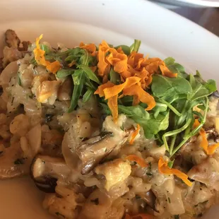 Mushroom Risotto