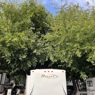 The overgrown trees over the trailers.