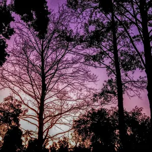 Sunset from the meadow behind my #tinyhouse at #parkdeltabay!