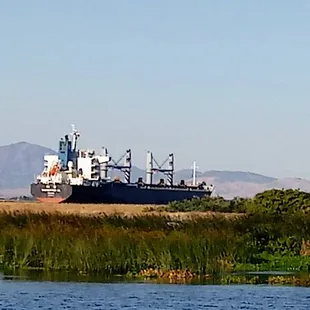 Sites in the Delta!  Taken just a mile or so from the park!
