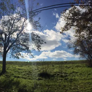 Beautiful park, nestled below the levee