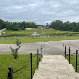 a walkway leading to the winery