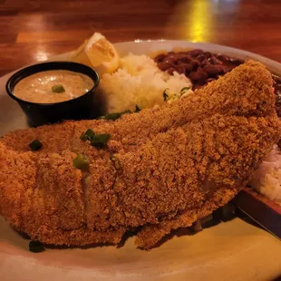 Catfish &amp; Rice and Beans