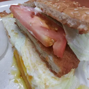 a half eaten sandwich