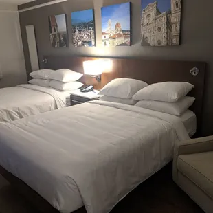 Clean casual spacious room