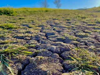 Contra Loma Regional Park & Swim Lagoon