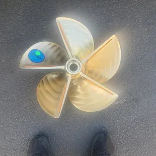 The New Propeller