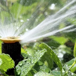 a sprinkler spraying water