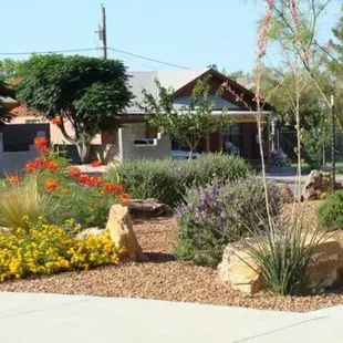 landscaping