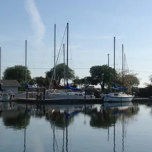 Boats at the marina