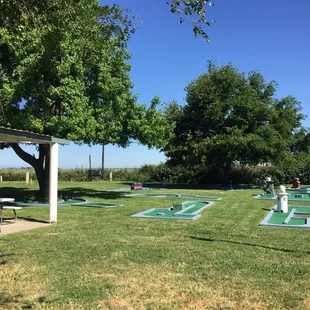 Mini putt course