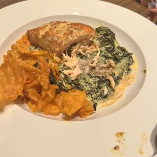Salmon