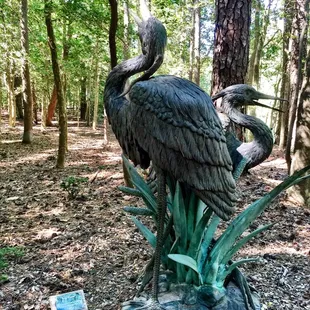 The hidden treasures in the woods