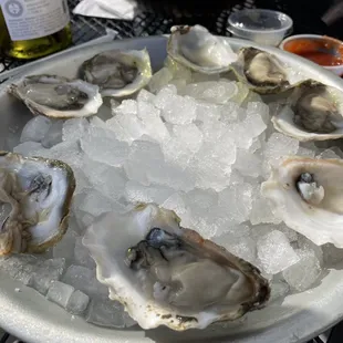 oysters on ice