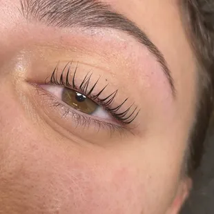 Lash lift + tint
