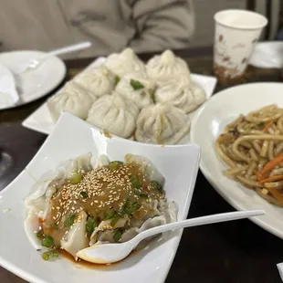 Hot and Spicy Wonton