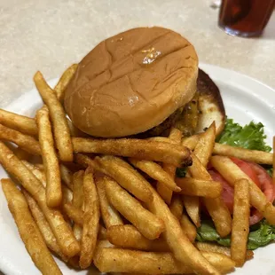 a hamburger and french fries on a plate