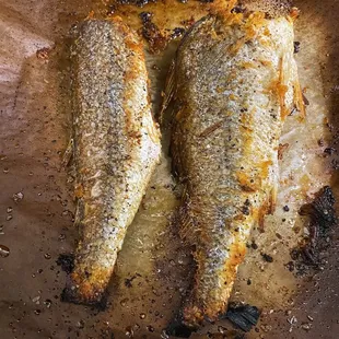 two fish in a pan