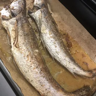two fish in a pan