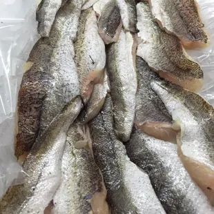 Fresh Whiting