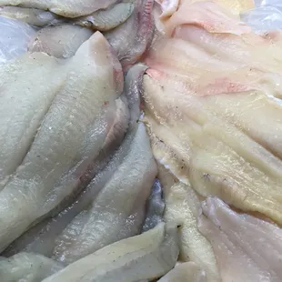Fresh Flounder