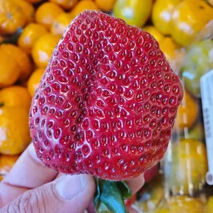 a hand holding a strawberry