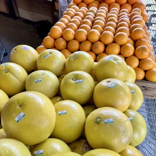 Citrus